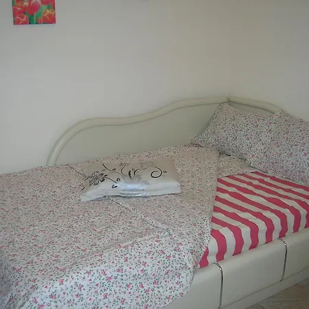 Nadezhda בית הארחה *